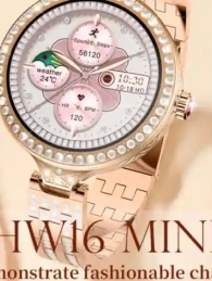hw16 mini 6