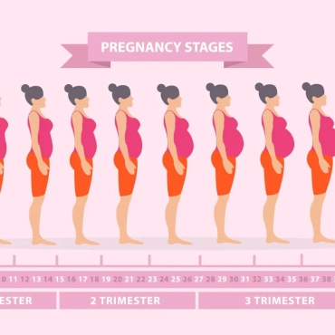 early pregnancy